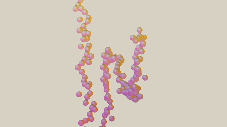 2025 ARCHIVE OF EVENTS